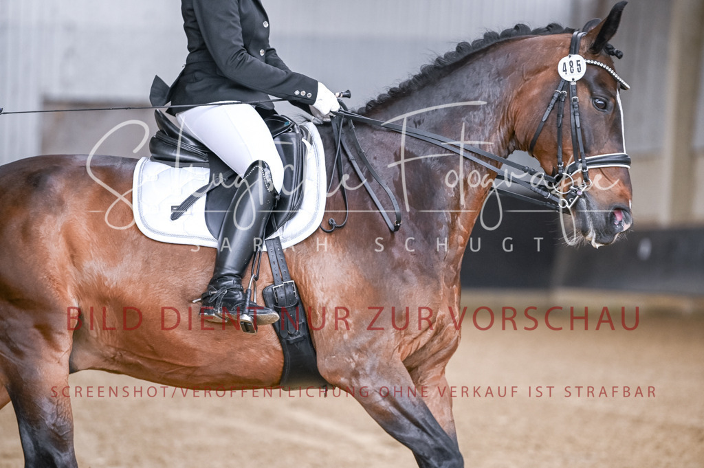 Schugtsche-Aluta25-56.Dressurprf.L1Kand.-90 | Schugtsche Fotografie - Realisiert mit Pictrs.com