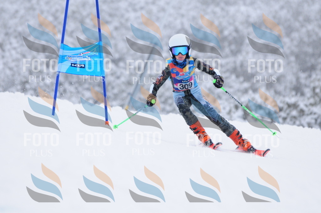 C3264 | holidayphoto