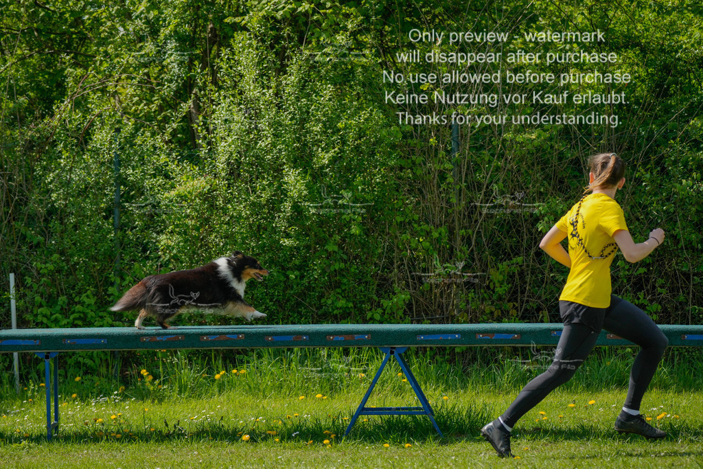 Sa_Laeufe_VK1und2_03-12 | stephaniefillaphotographie - Realisiert mit Pictrs.com