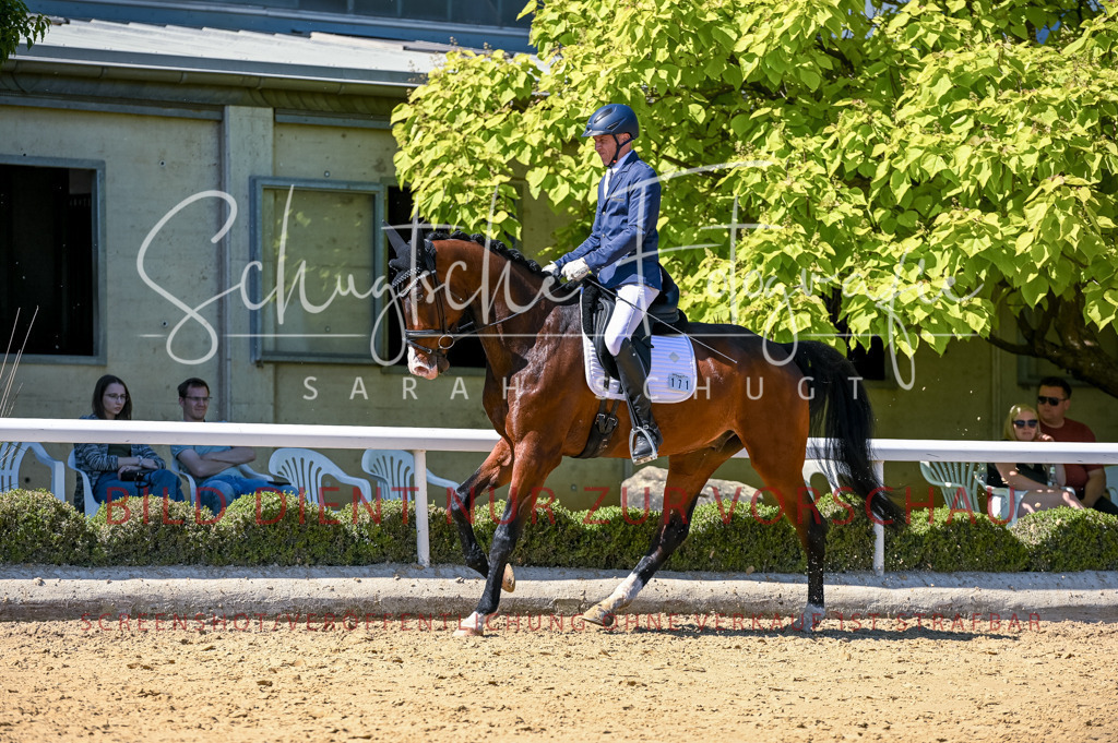 Schugtsche-Aluta25-50.Dressurpferdeprf.L-49 | Schugtsche Fotografie - Realisiert mit Pictrs.com