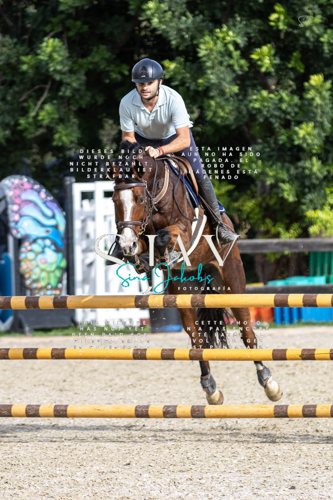 IMG_3468 | s-jay-photography - Realisiert mit Pictrs.com