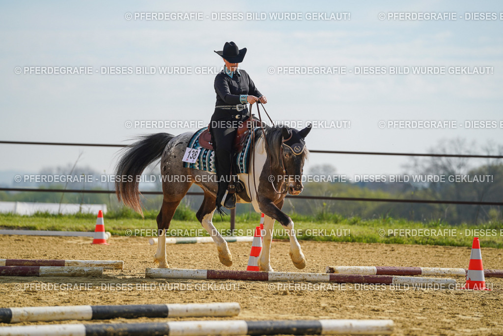 DSC01154 | Pferdegrafie