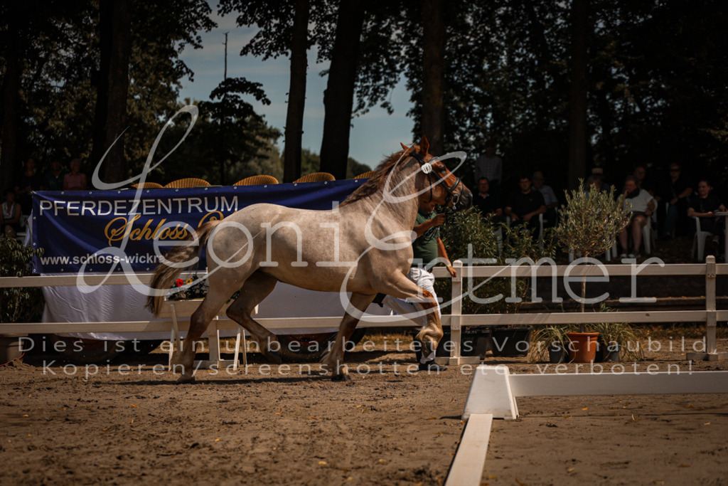 1.Sa00039 | Leoni Ertmer Photography - Realisiert mit Pictrs.com