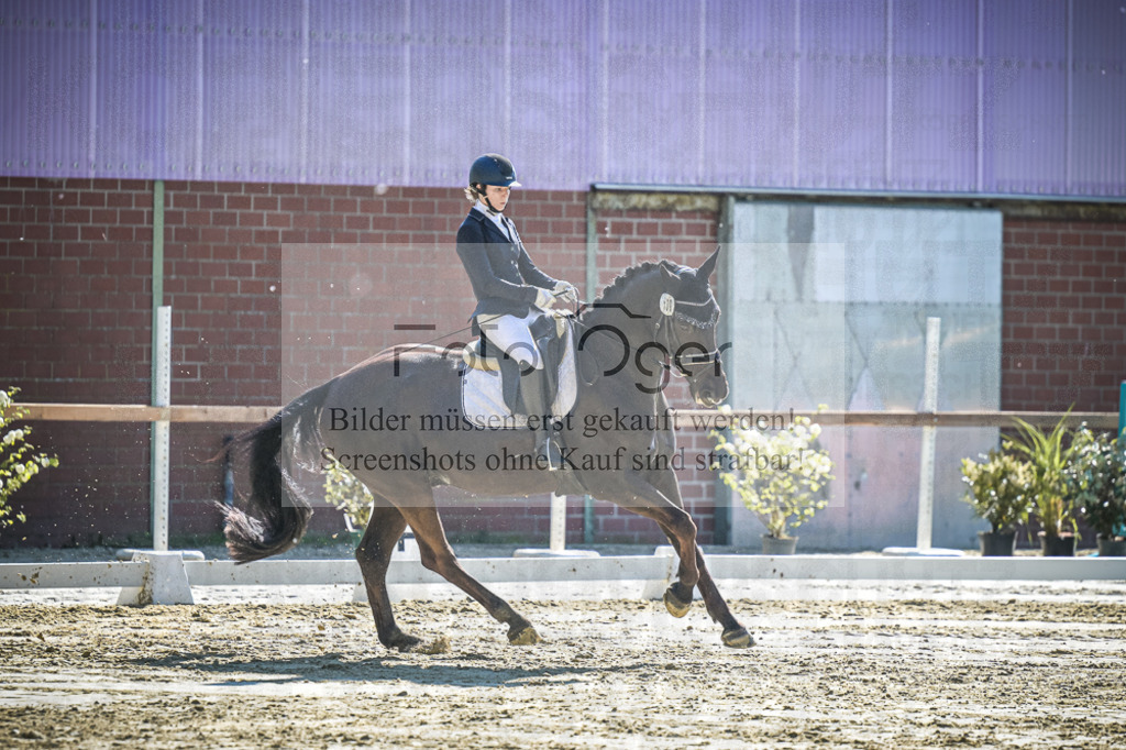 DOS_2884 | Entdecke hochwertige Reitturnierfotos von Foto Oger. Professionell, emotional und authentisch – jetzt Lieblingsmomente im Shop bestellen.Deutschlandweite Turnierfotografie. - Realisiert mit Pictrs.com