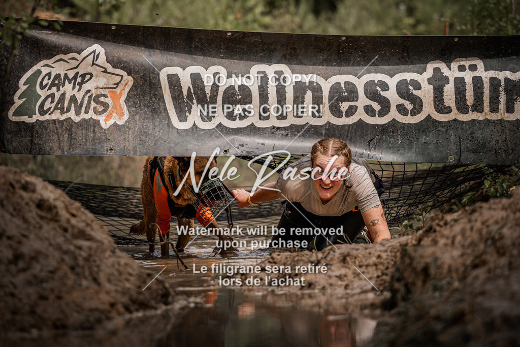 nelerasche_Hoope2026_Sa1200-1230_57 | nelerasche