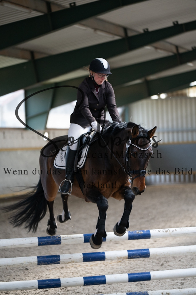 A7V07853 | Pferdefotograf