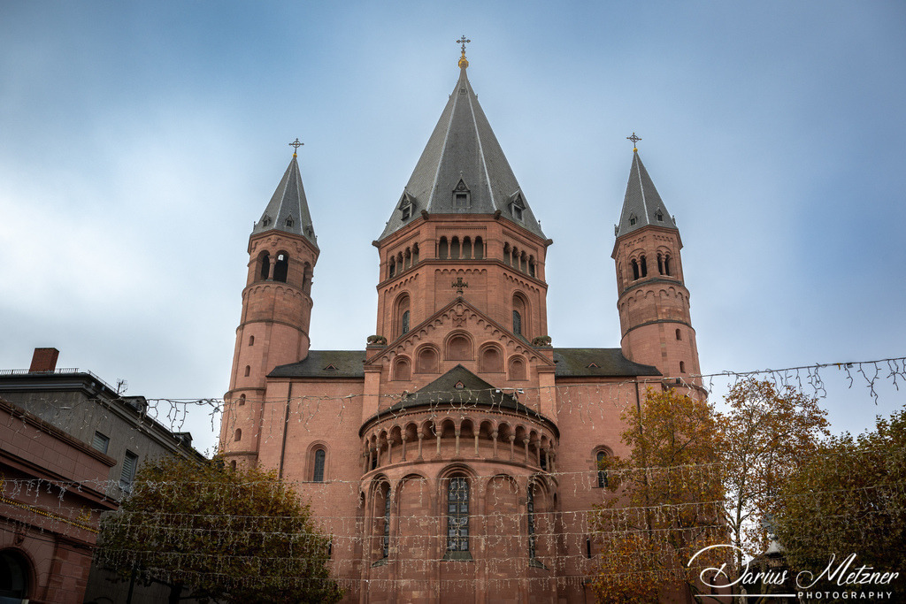 DSC_4299 | Fotografien, Fotos und Bilder aus Mainz, Frankfurt, Wiesbaden und anderen Orten auf der Welt - Fotografiert von Darius Metzner
