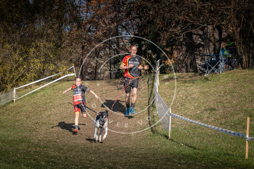 CaniXpix_0L8A8334 | Hundefotografie, Tierfotograf, Pfotenfotografie, Fotoshooting Hund, Hunde Portrait, Hundesport, Hundeportraits, Heideshooting, Hunde, Sportfotograf, Hundefotograf, Turnierhundsport, THS,  - Realisiert mit Pictrs.com