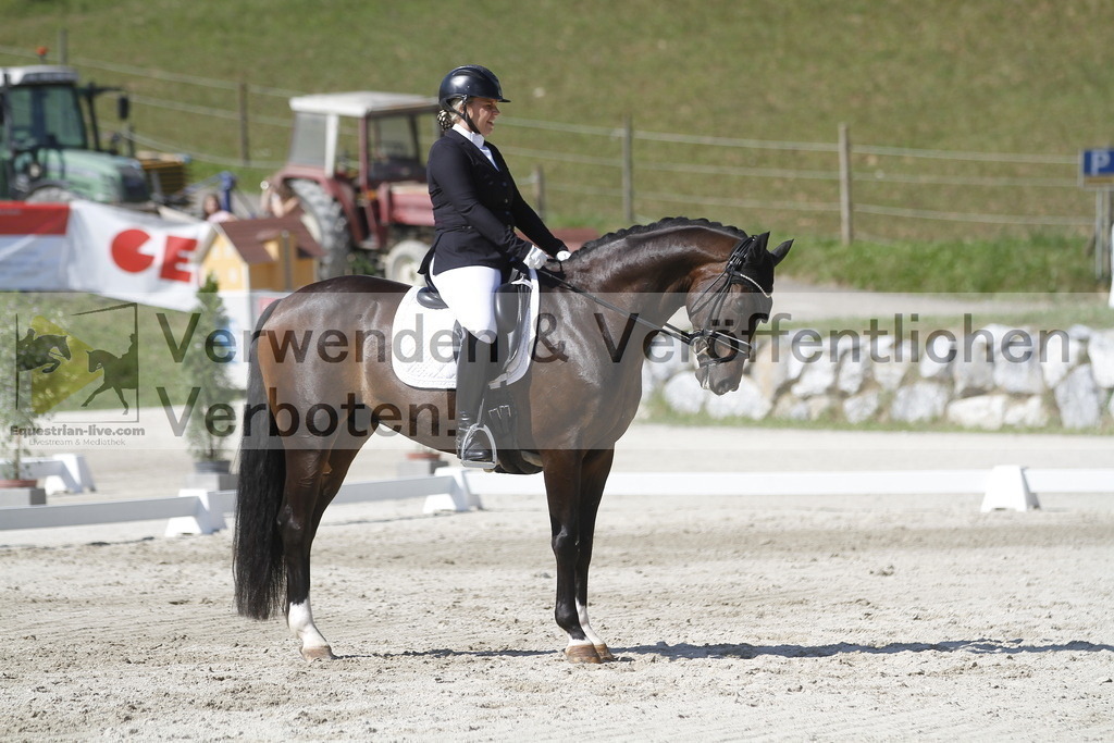 _MG_0770 | equestrian-live-com