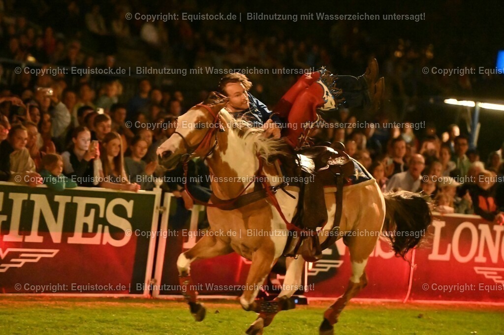 20230526_Pferdenacht_1200 | equistock