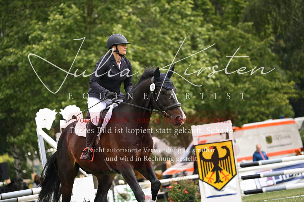 DSC_9110 | Pferde- und Turnierfotografie in Westsachsen. Pferdeportraits, Auftragszeichnungen und intuitive Kunst.