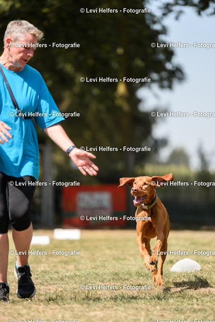 _DSC6295 | levihelfersfotografie