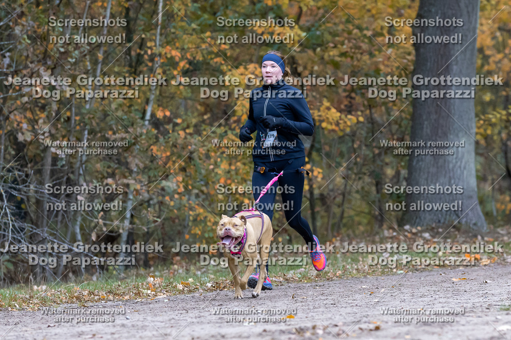 Dog Paparazzi - SD CaniX Championship 2025-499 | Dog Paparazzi Jeanette Grottendiek Fotografie & Videografie - Realisiert mit Pictrs.com