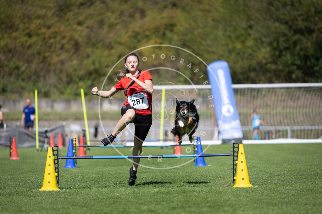 Pfotenfotografie_DV3A7280 | Hundefotografie, Tierfotograf, Pfotenfotografie, Fotoshooting Hund, Hunde Portrait, Hundesport, Hundeportraits, Heideshooting, Hunde, Sportfotograf, Hundefotograf, Turnierhundsport, THS,  - Realisiert mit Pictrs.com