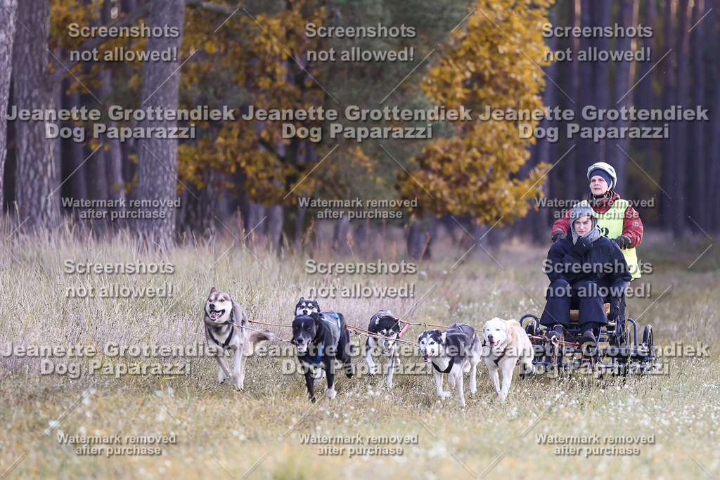Dog Paparazzi - Elsholz 25 -4 | Dog Paparazzi Jeanette Grottendiek Fotografie & Videografie - Realisiert mit Pictrs.com