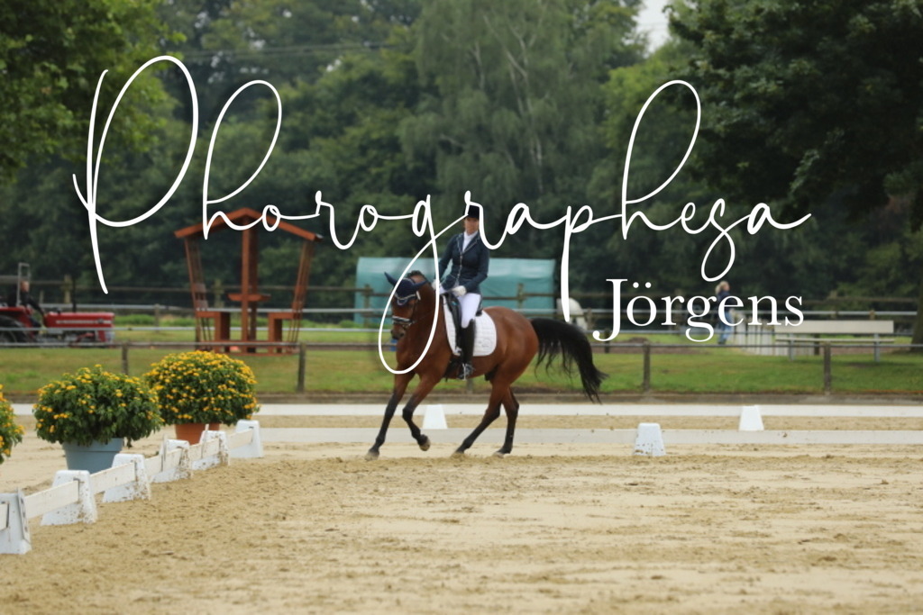 IMG_5559 | photographesa-joergens - Realisiert mit Pictrs.com