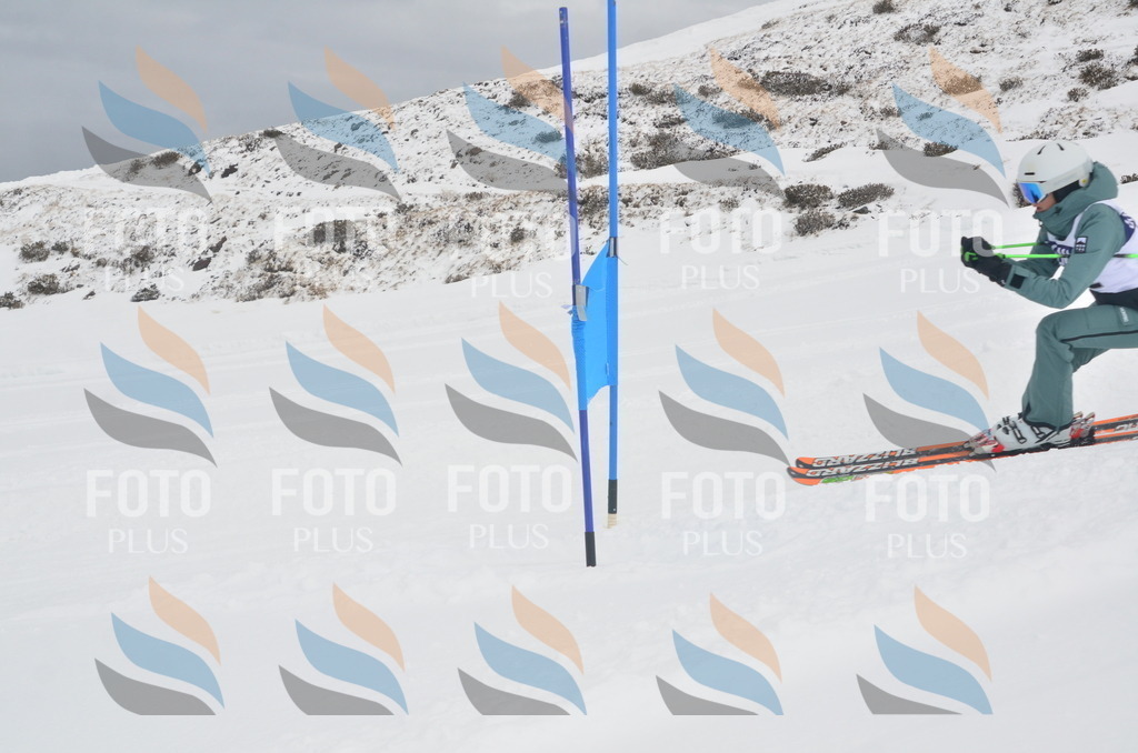 A5784 | holidayphoto