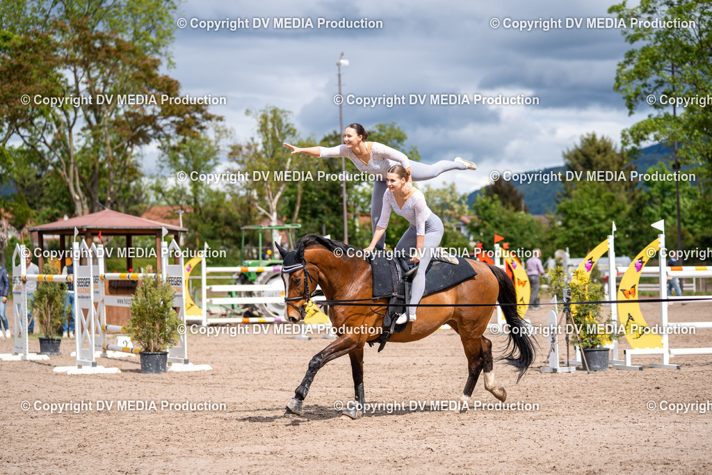 Eppelheim Tag 3-286 | dv-media-shop - Realisiert mit Pictrs.com