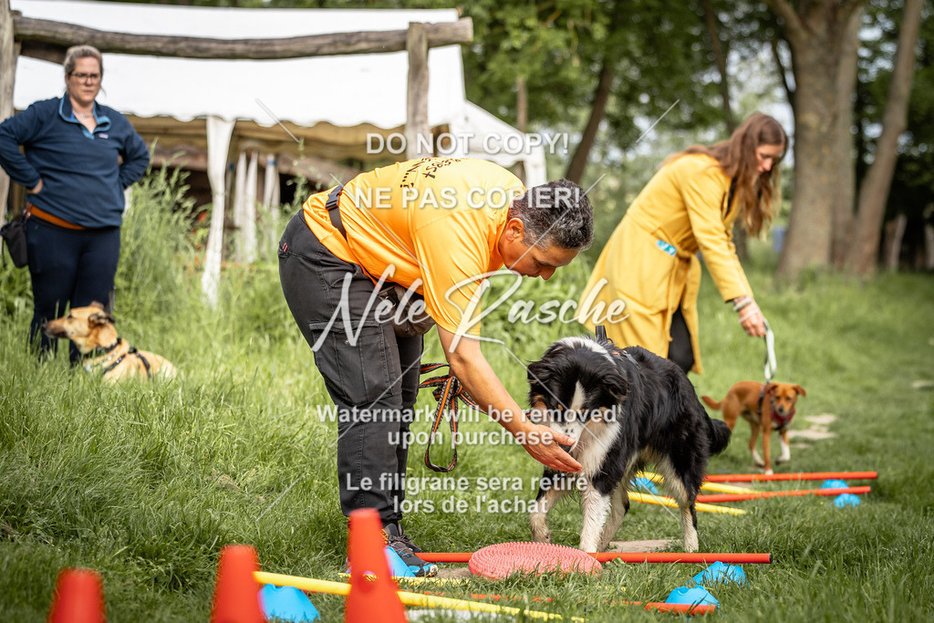 nelerasche_So-earlydog_55 | nelerasche