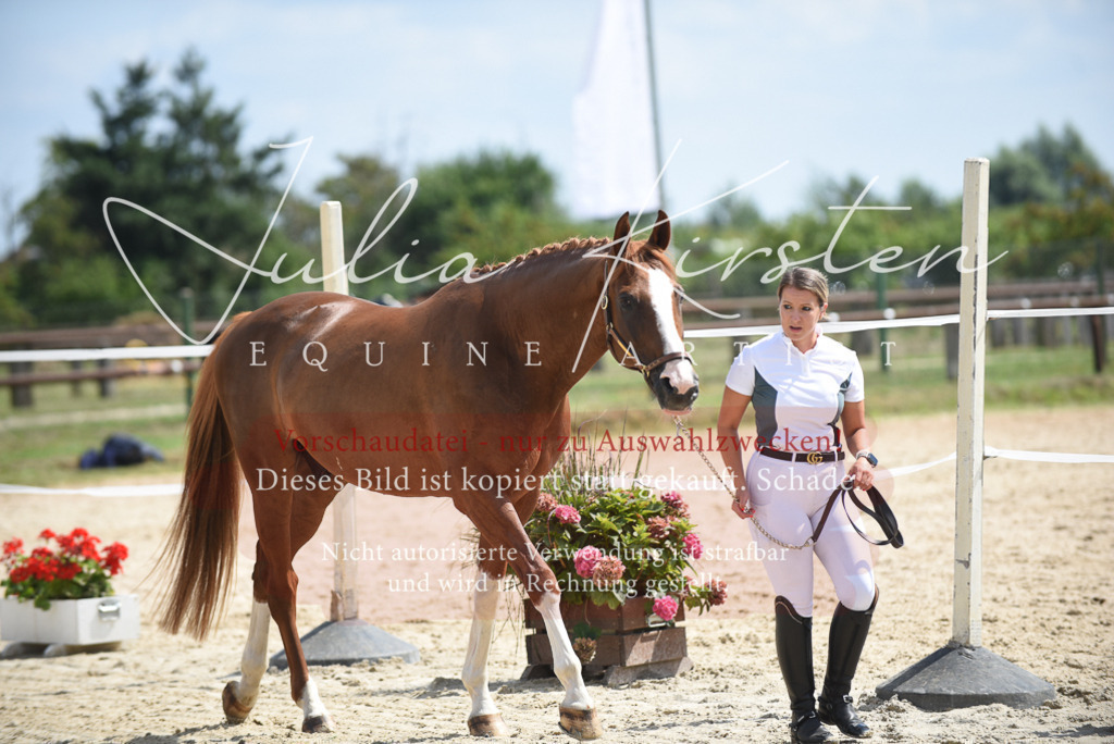 DSC_8977 | Pferde- und Turnierfotografie in Westsachsen. Pferdeportraits, Auftragszeichnungen und intuitive Kunst.