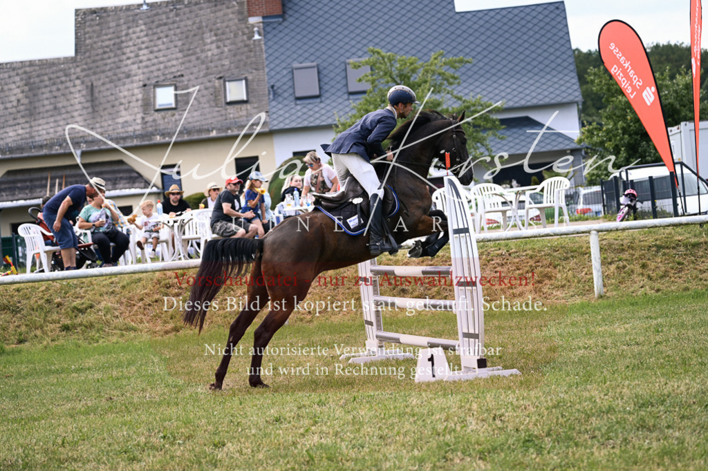 DSC_0624 | Pferde- und Turnierfotografie in Westsachsen. Pferdeportraits, Auftragszeichnungen und intuitive Kunst.