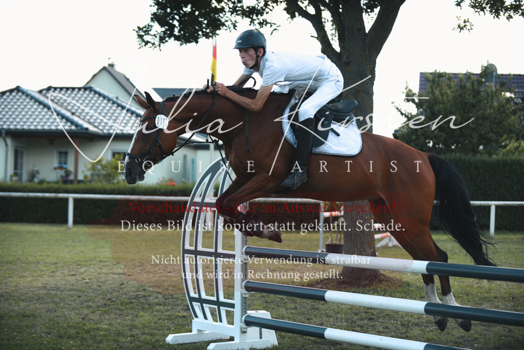 DSC_6901 | Pferde- und Turnierfotografie in Westsachsen. Pferdeportraits, Auftragszeichnungen und intuitive Kunst.