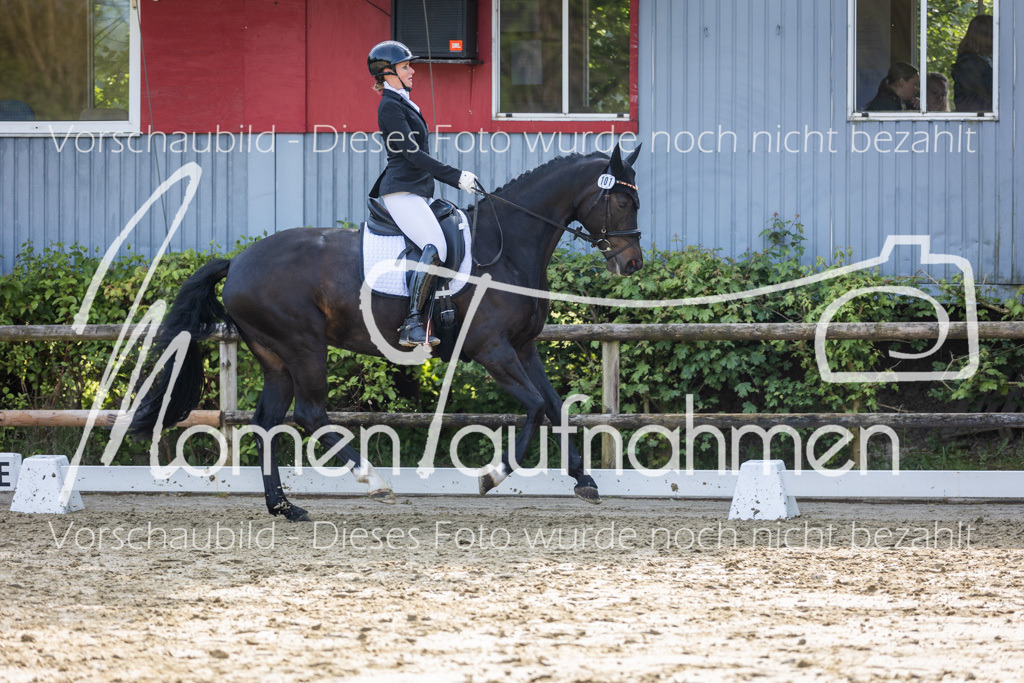 Donop24-A2-Dre-006 | MomenTaufnahmen Pferdesportfotos