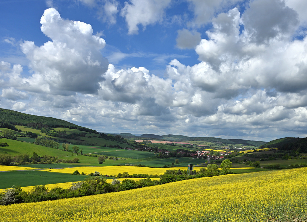 LandschaftNeubrunn01-3 | lucisnaturbilder - Realisiert mit Pictrs.com