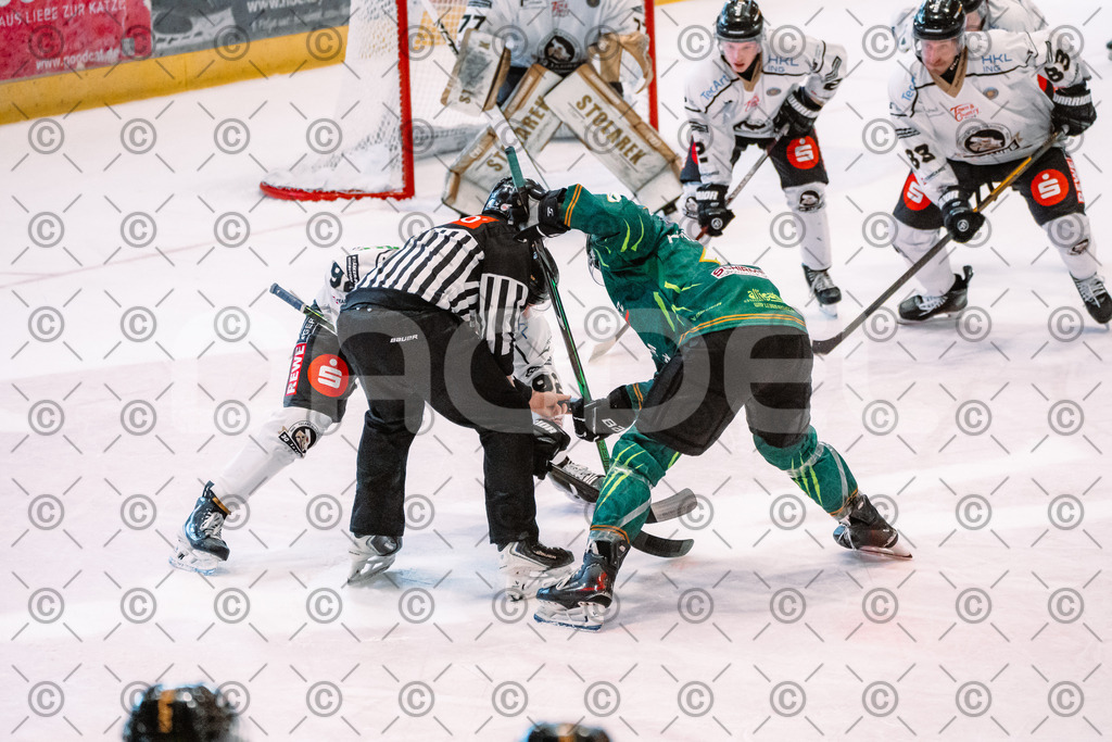 Alligators_vs_Erfurt_06_09_2026-24 | Die Fotogalerie von Daddel: professionelle Bilder von Sport, Events und Unternehmen aus Franken. Jetzt Galerien durchstöbern und Lieblingsfotos bestellen. - Realisiert mit Pictrs.com