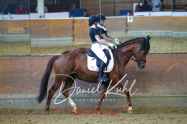 DKP44344 | Turniersportfotografie; Pferdefotografie; Dressurfotografie