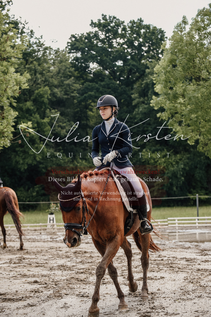 DSC_8982 | Pferde- und Turnierfotografie in Westsachsen. Pferdeportraits, Auftragszeichnungen und intuitive Kunst.