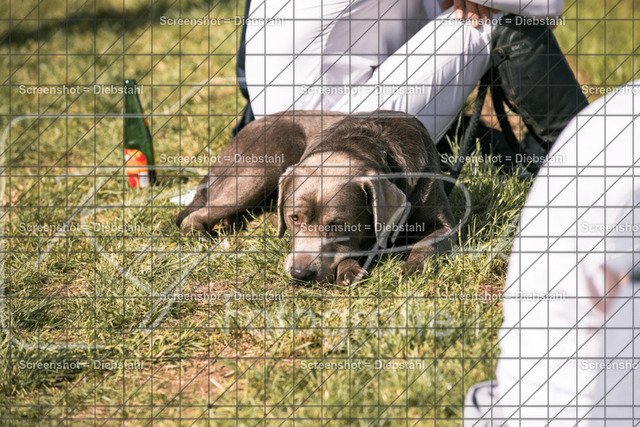 _W6A3581 | ronjaprokoschfotografie - Realisiert mit Pictrs.com