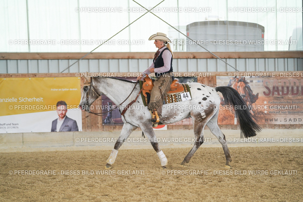 DSC01926 | Pferdegrafie