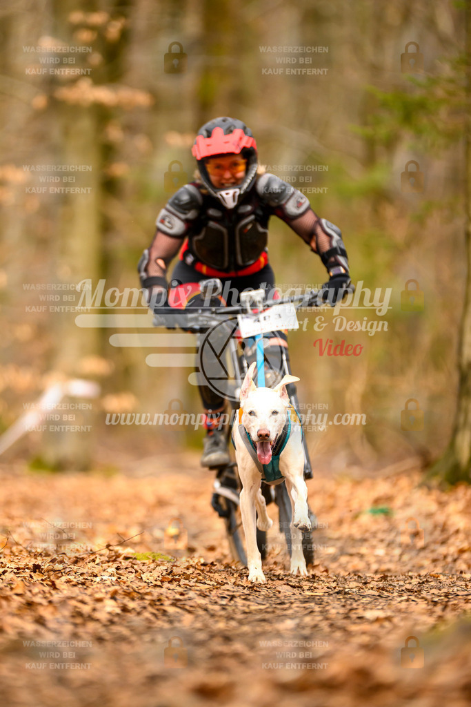 MompixPhotography_Habay2025_SA_Bike-160 | PayLife