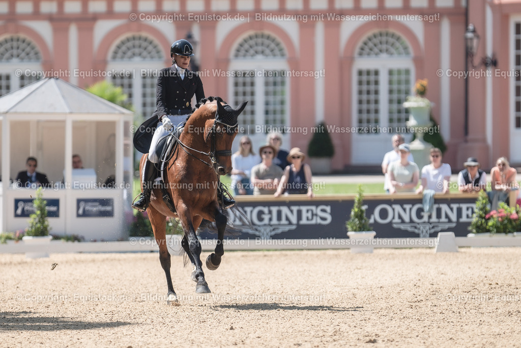 20230529_29_Louisdor_0105 | equistock