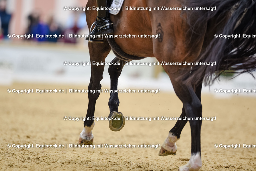 20250607_1_GP-Tour_Dressage_0324 | Foto: Thomas Hartig