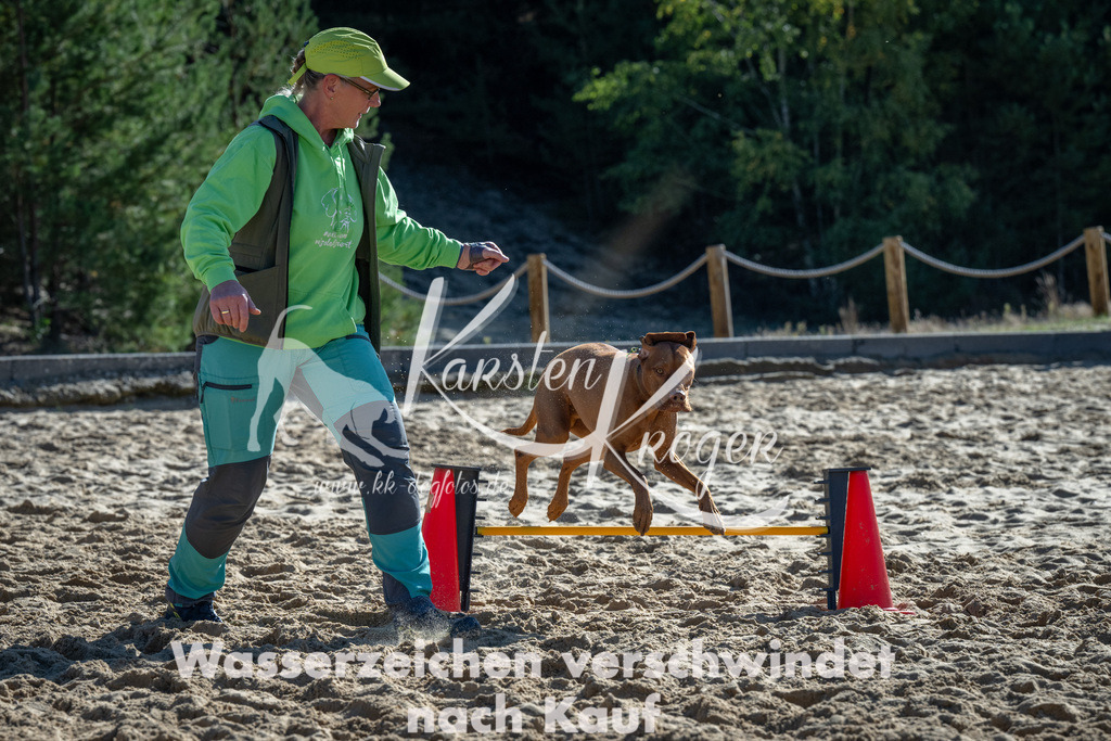 1152_ZZ92239-2 | kk-dogfotos