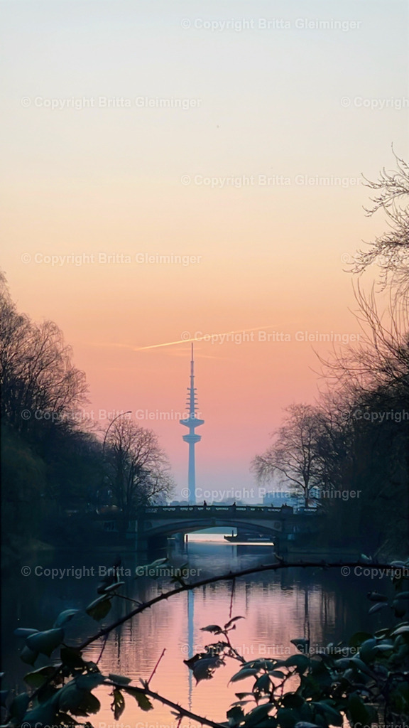 Hamburg - Sonnenuntergang an der Alster 2 | Abendstimmung am Schwanenwik in Hamburg mit Blick auf den Fernsehturm, im Vordergrund wild wachsende Brombeerhecken. - Realisiert mit Pictrs.com