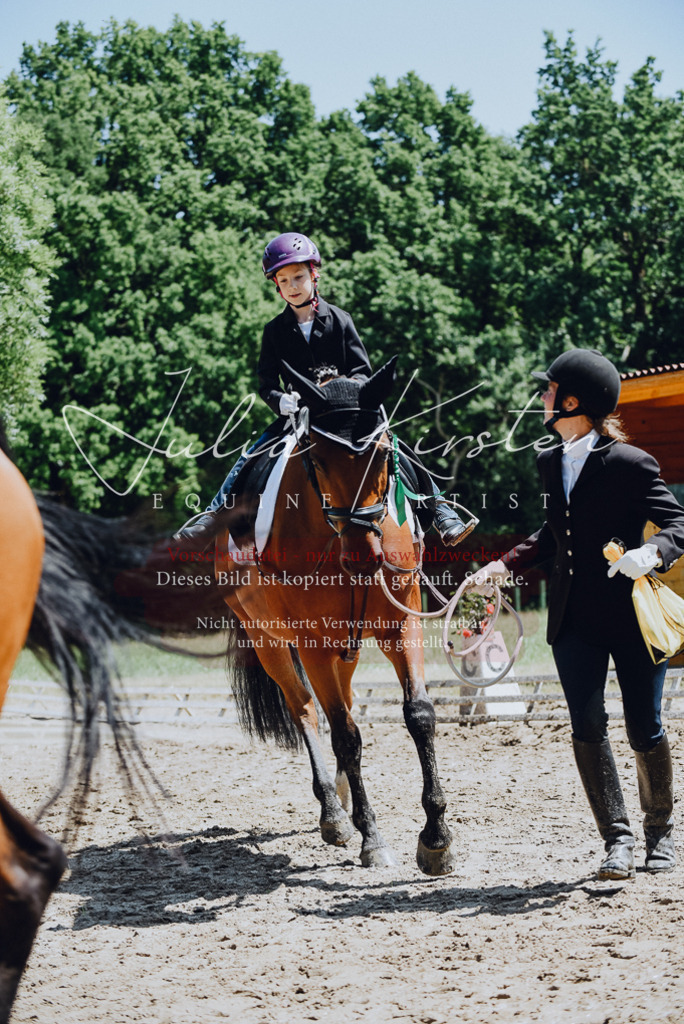 DSC_2380 | Pferde- und Turnierfotografie in Westsachsen. Pferdeportraits, Auftragszeichnungen und intuitive Kunst.