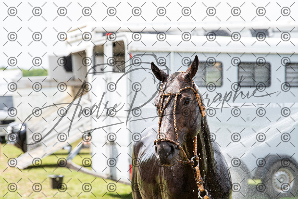 POL_3739 | andre_photographic