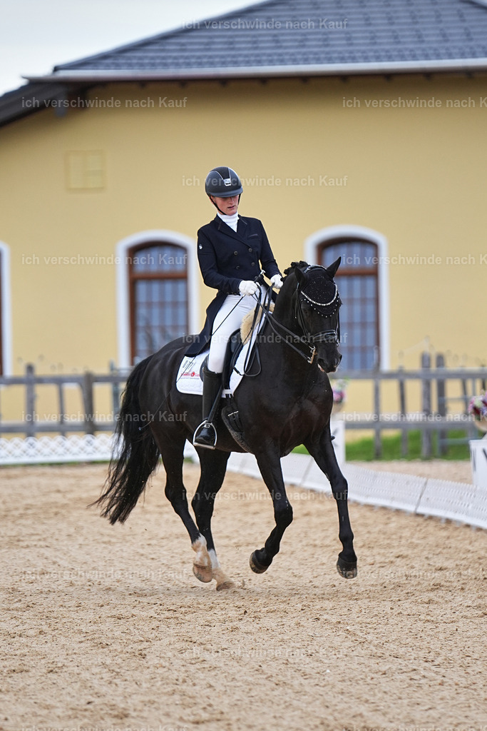 8_1-077-Klasse S_  -Marixx-4080 | working equitationturnier fotograf videograf stoibphotography marixx film working equitation deutschland reitsport turnierfotografie eventfotografie equestrian events