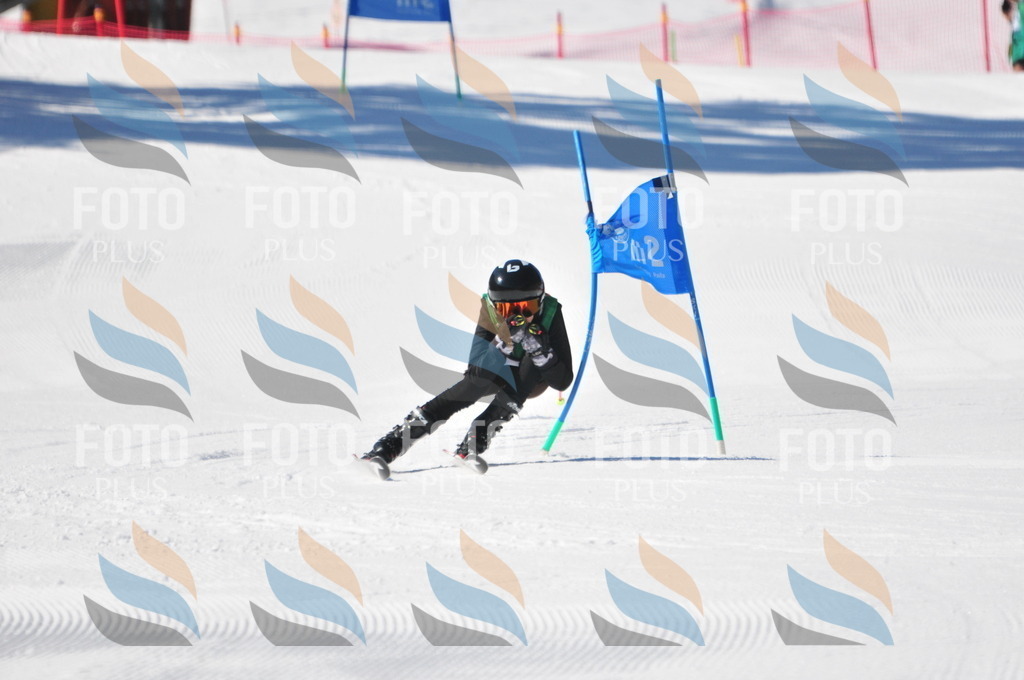 C3808 | holidayphoto