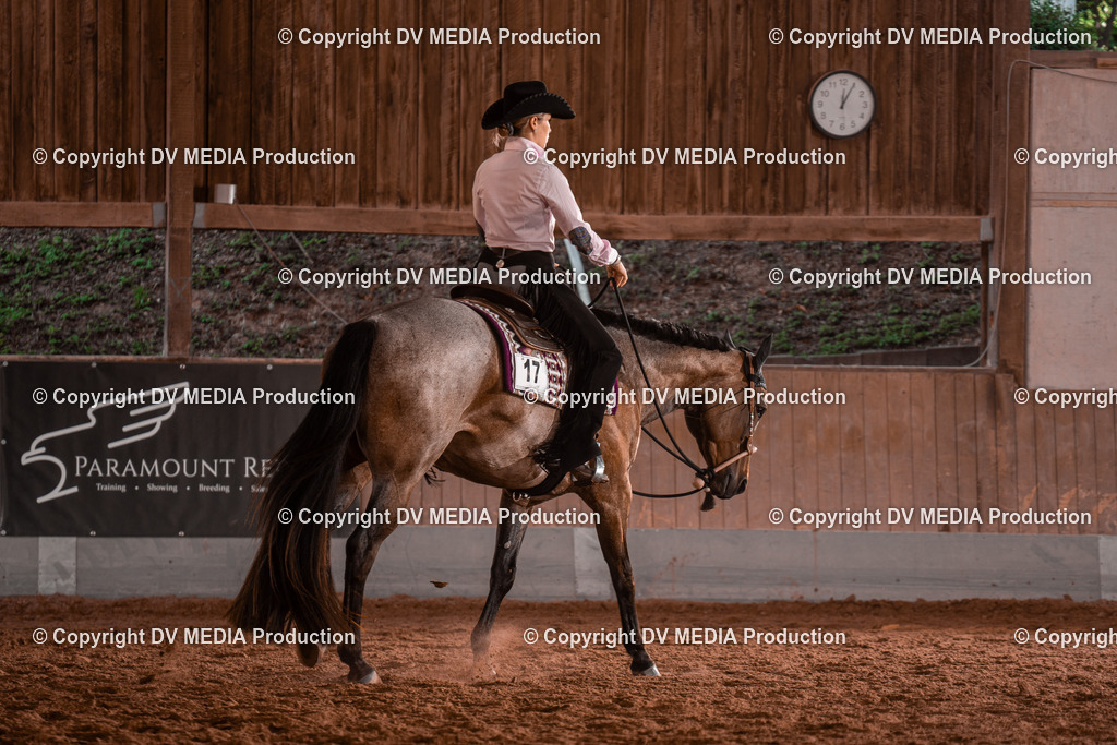 NE200134 | dv-media-shop - Realisiert mit Pictrs.com