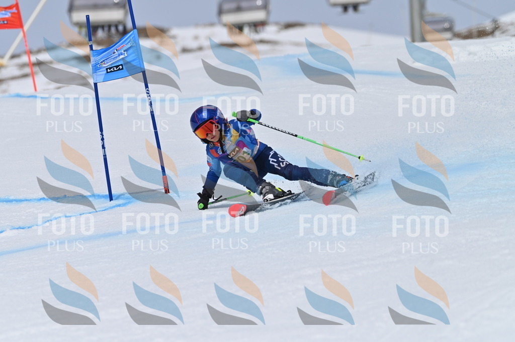 BGV_3874 | holidayphoto