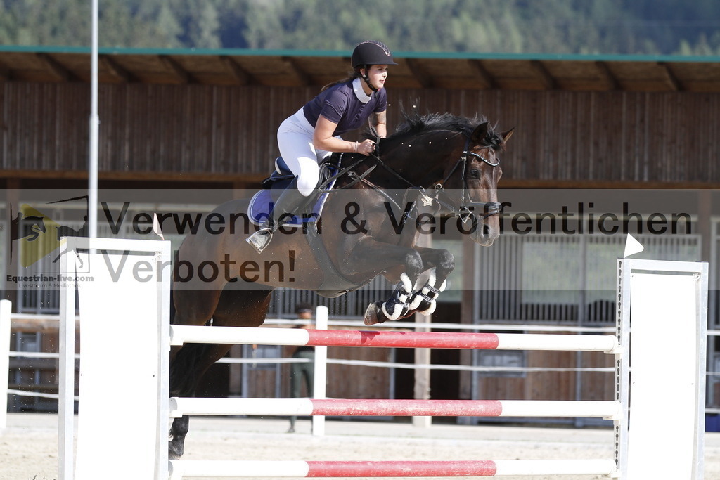 _MG_5446 | equestrian-live-com