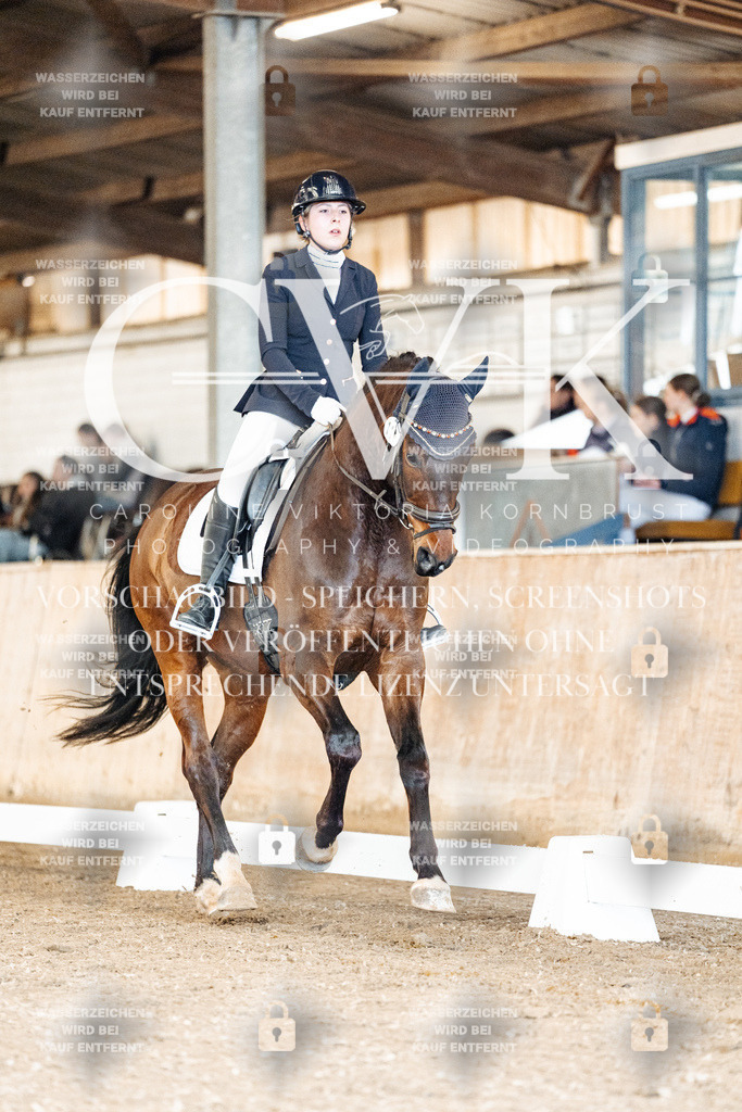 CK900887 | Turnierfotografie Pferdefotografie Trier Rheinland-Pfalz Pferdesport Reitsport Tierfotografie Sportfotografie Pferdevideo Pferdevideografie Equestrianvideography equestrianphotography  - Realisiert mit Pictrs.com