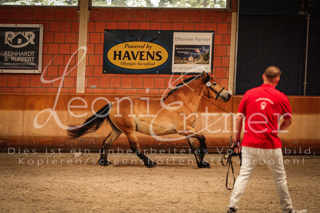SaFL00116 | Leoni Ertmer Photography - Realisiert mit Pictrs.com