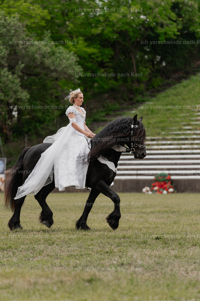 Showprogramm-302 | working equitationturnier fotograf videograf stoibphotography marixx film working equitation deutschland reitsport turnierfotografie eventfotografie equestrian events