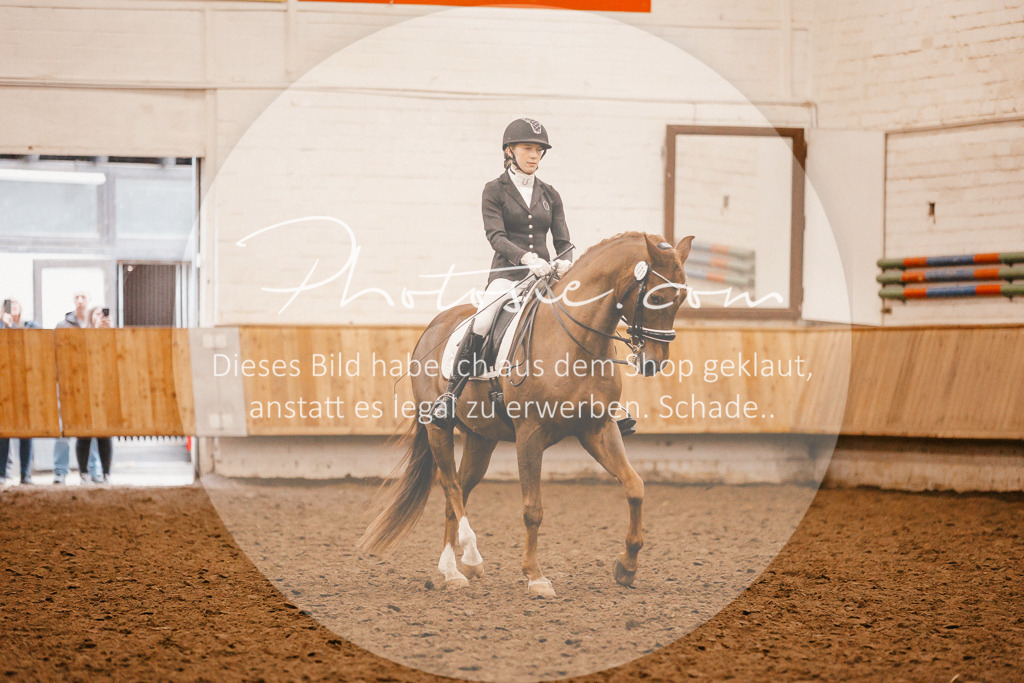 3I6A3148 | Stimmungsvolle Portraits und Reitsportfotografie im Ruhrgebiet und im Münsterland.

Pferdefotografie, Hundefotografie, Tierfotografie, Reportagen, Portraits von Tier und Mensch, Turnierfotografie in Bochum, Recklinghausen, Marl, Haltern am See, Dülmen.. - Realisiert mit Pictrs.com