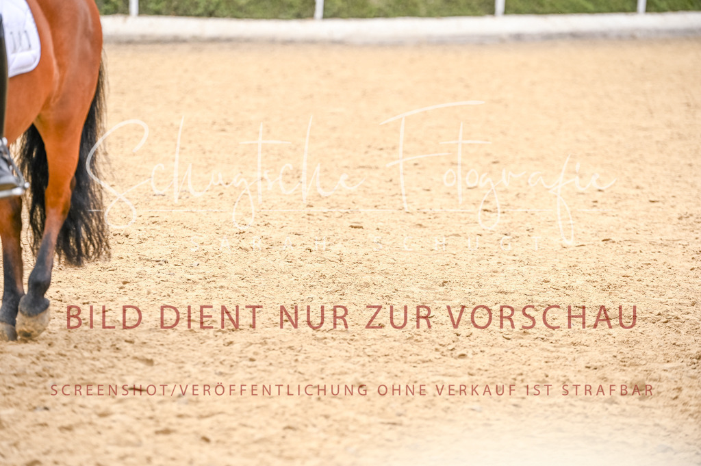 Schugtsche-Aluta25-44.DresssurreiterWB-338 | Schugtsche Fotografie - Realisiert mit Pictrs.com